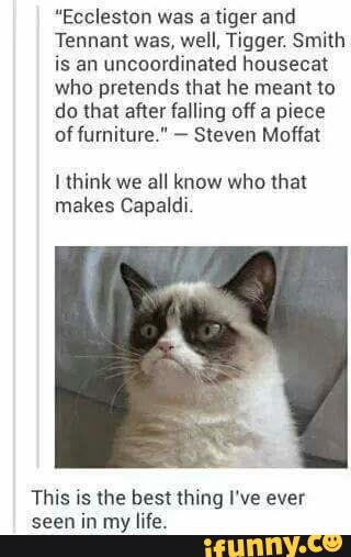 “Eccleslon was a
tiger and
Tennant was, well, Tigger. Smith
is an uncoordinated housecat
who pretends that he meant to
of furniture." -
Steven Muffa‘
I think we
all know who that
makes Capaldi
This is the best thing I‘ve ever
seen in my life.