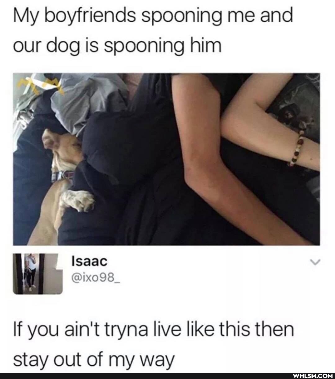 My boyfriends spooning me and our dog is spooning him
Isaac
If you ain't tryna live like this then stav out of mv wav