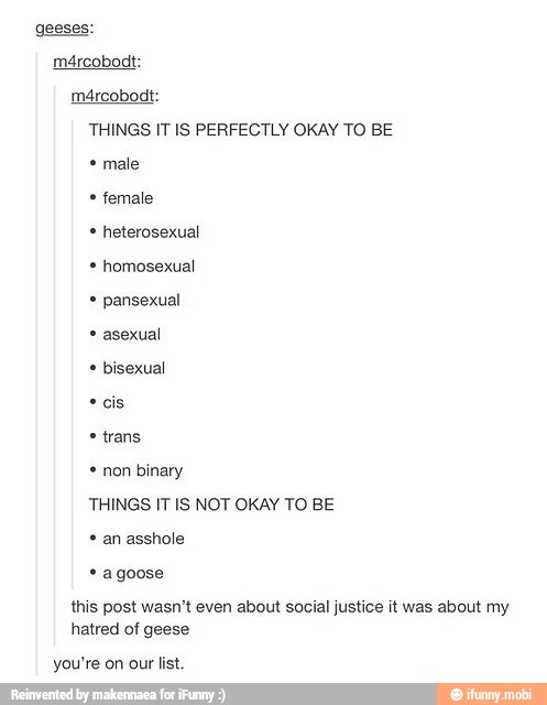 geeses:
THINGS IT IS PERFECTLY OKAY TO BE male female heterosexual homosexual pansexual
asexual
bisexual
cis trans
THINGS IT IS NOT OKAY TO BE an asshole agoose
this post wasn't even about social justice it was about my
hatred of geese
you're on our list.