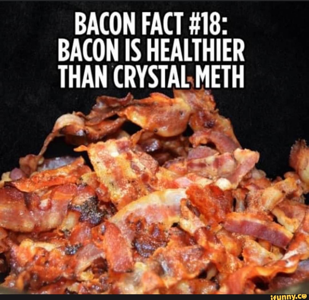 BACON FACT 18 BACON IS HEALTHIER THAN CRYSTAL METH iFunny