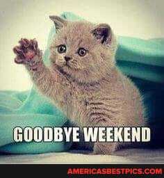 AYE WEEK ENT