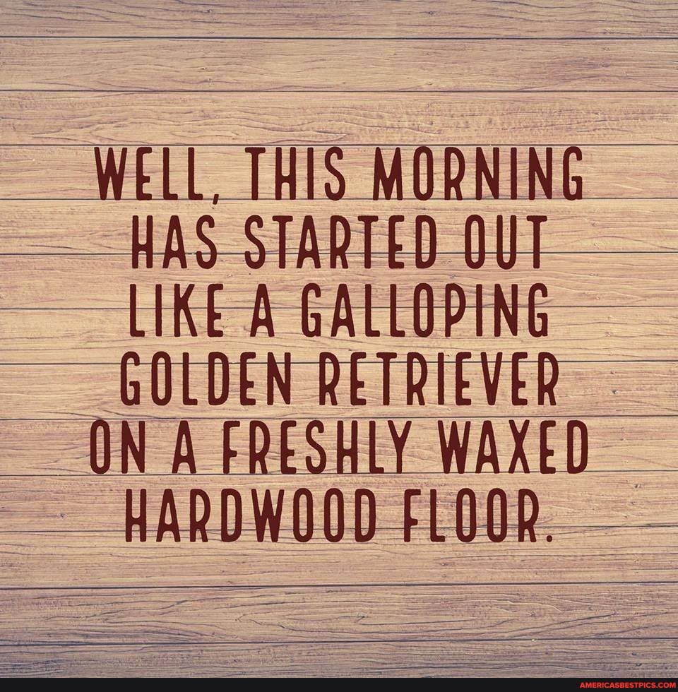 WELL, THIS MORNING HAS STARTED OUT
LIKE A GALLOPING -
GOLDEN RETRIEVER
ON A FRESHLY WAXED HARDWOOD FLOOR.