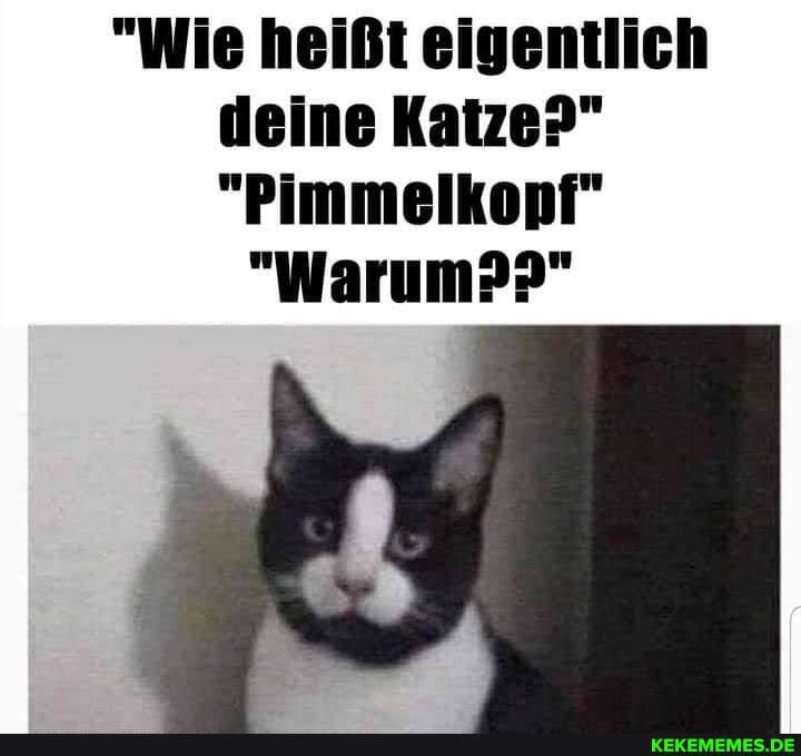 "Wie heißt eigentlich deine Katze?"
"Pimmelkopf"
"Warum?"