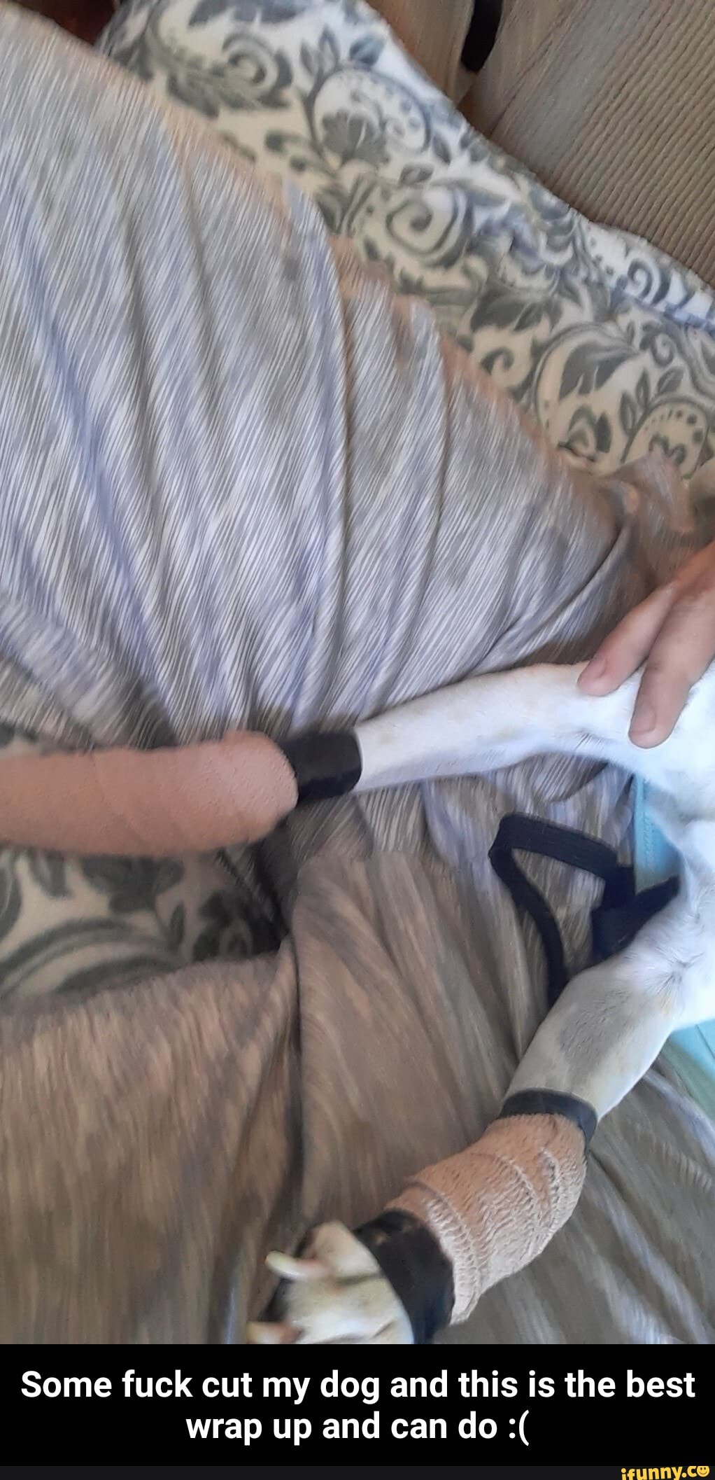 p
E
Some fuck cut my dog and this is the best - Some fuck cut my dog and this is the best wrap up and can do :(