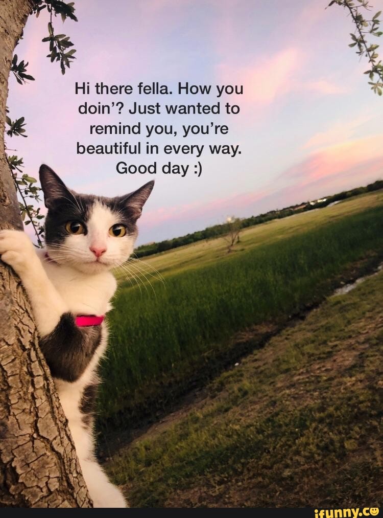 Hi is beautiful. Hi there. You're beautiful meme. You remind. Just good Day.