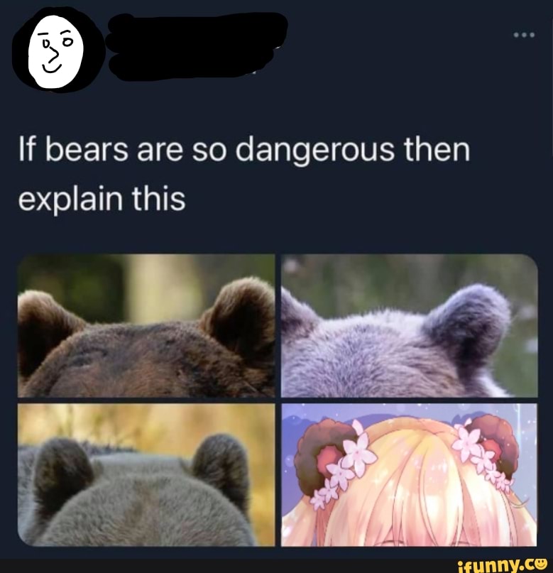 If bears are so dangerous then explain this - iFunny