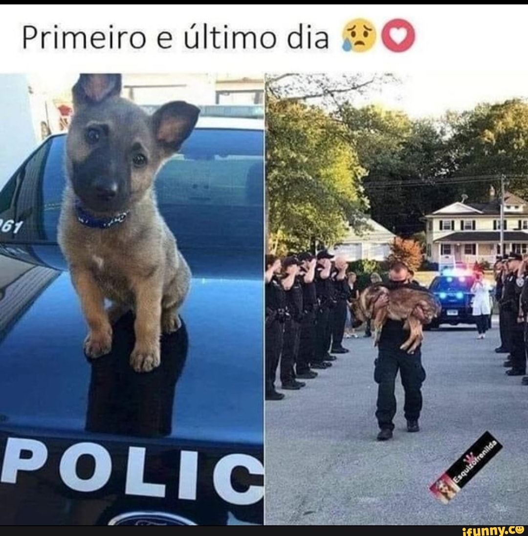 Primeiro e último dia