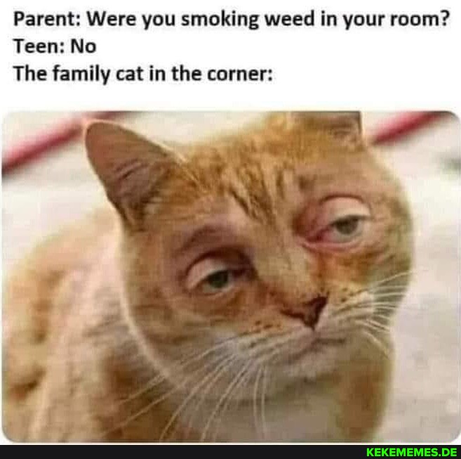 Parent: Were you smoking weed in your room? Teen: No The family cat in the corne
