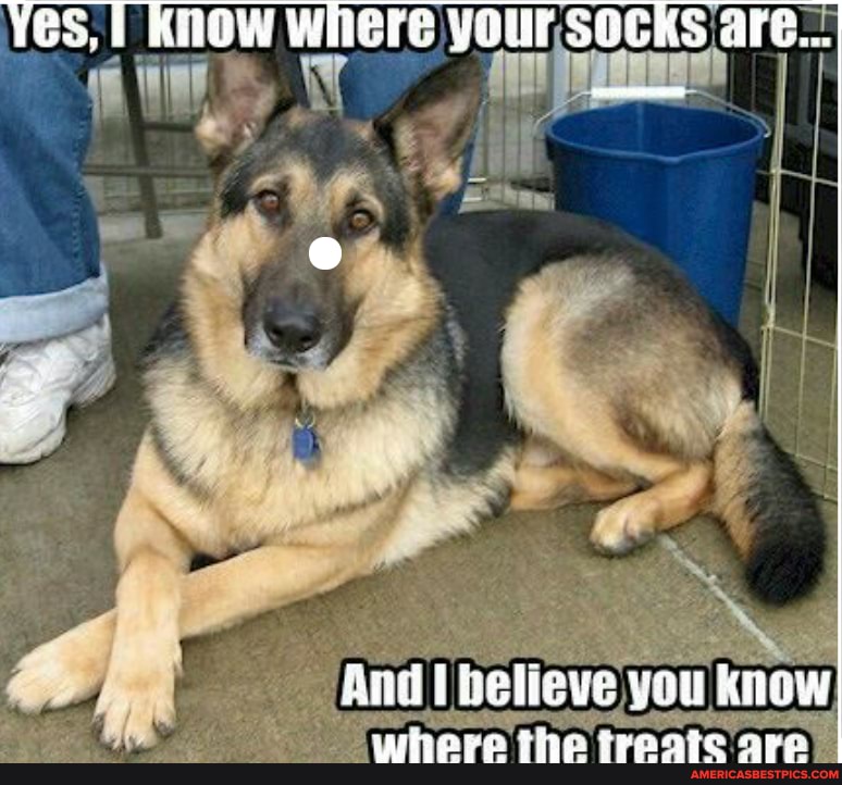 Ves, KiOW Where YOur SOCKS are...
aN
And belleve you Know