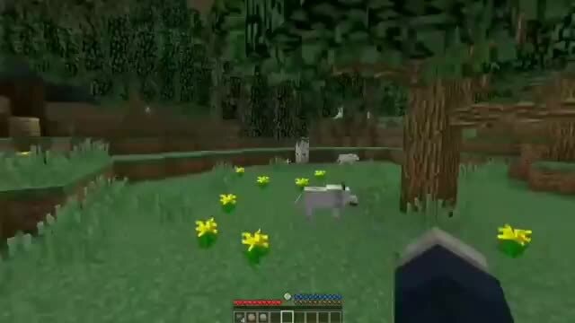 meme do caixão no minecraft