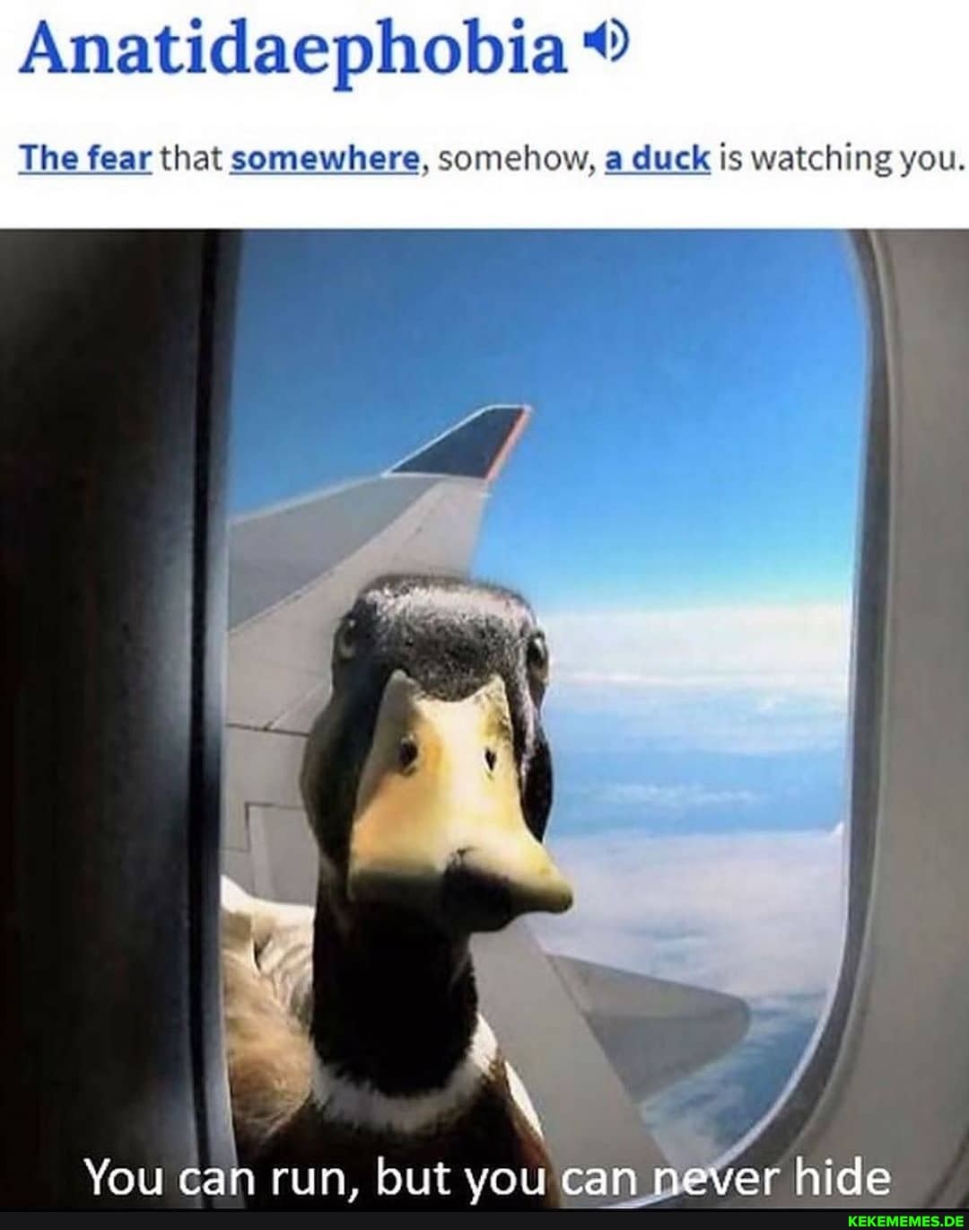 Anatidaephobia
The fear that somewhere, somehow, a duck is watching you.
You can run. but vou can never hide
