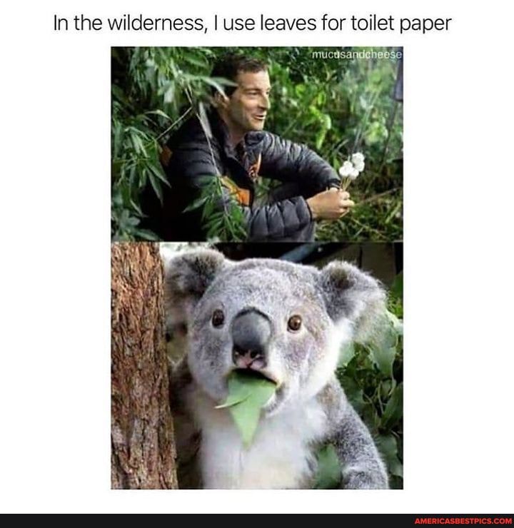 In the wilderness, I use leaves for toilet paper America’s best pics