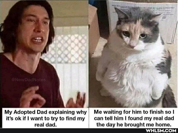 My Adopted Dad explaining why I Me waiting for him to finish so it's ok if I want to try to find my I can tell him I found my real dad