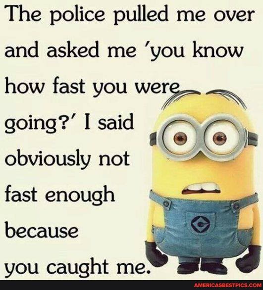 The police pulled me over
and asked me "you know
how fast you going?' I said
obviously not
fast enough
because
tim rarnht mo