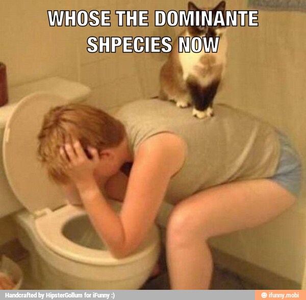 dominante, shpecies
