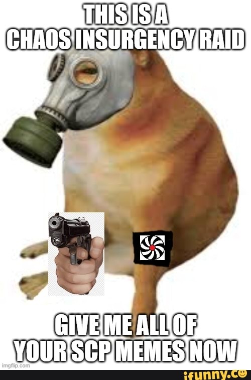 Chaos Insurgency Raid