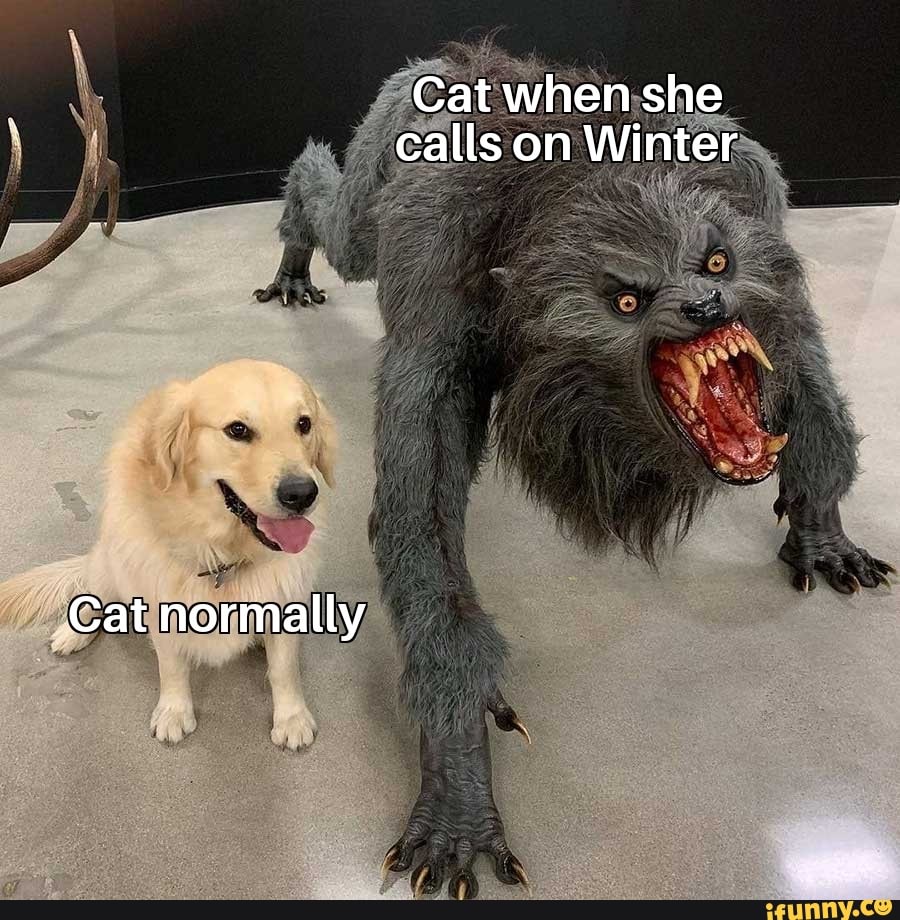 Cat normally
Cat when she calls on Winter