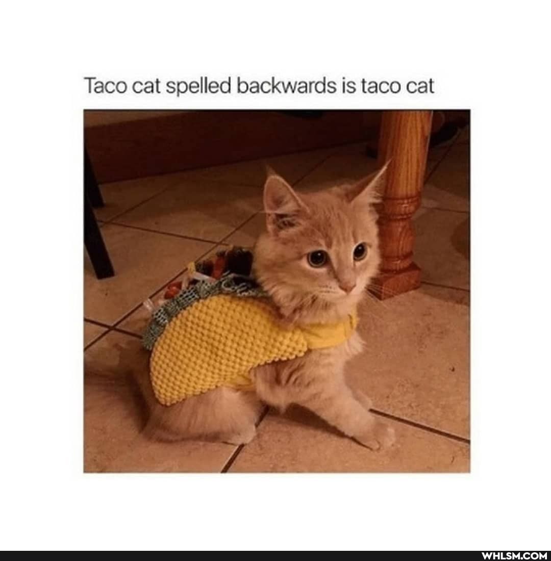 Taco cat spelled backwards is taco cat
Ce