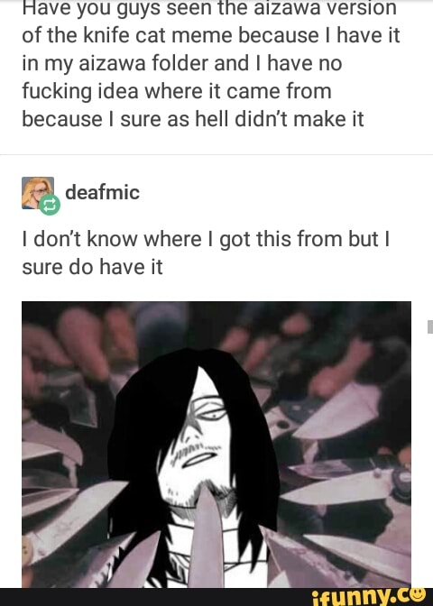 Have You Guys Seen The Alzawa Versnon Of The Knife Cat Meme Because I Have It In My Aizawa Folder And I Have No Fucking Idea Where It Came From Because I