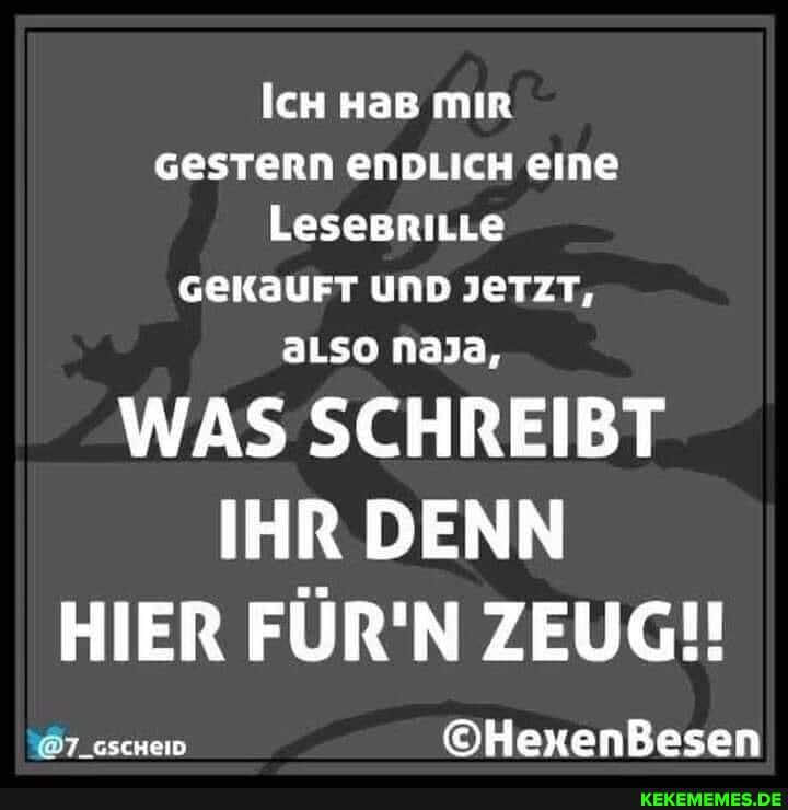 IcH HaB mir
GESTERN ENDLICH eine
LeseBriLLe
GEKAUFT UND JeTZT, aLso NaJa,
WAS SCHREIBT IHR DENN HIER FÜR'N ZEUG!!
Besen