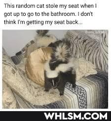 'This random cat stole my seat when I
{got up to go to the bathroom. dont think getting my seat back