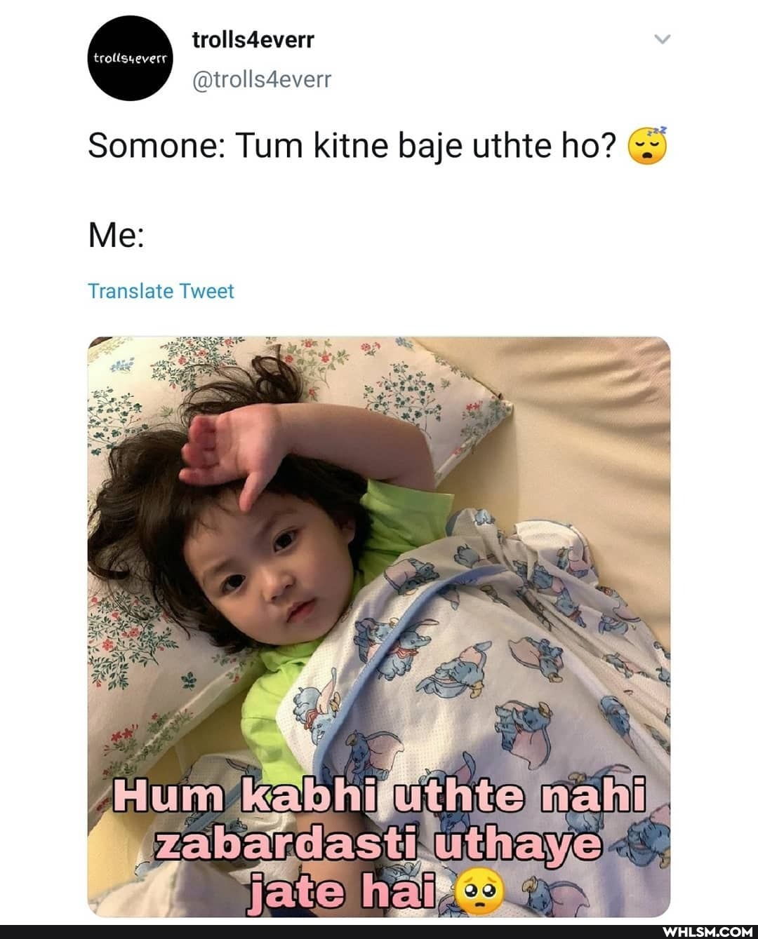 trolis4everr trolisyeverr
(mtrolis4everr
Somone: Tum kitne baje uthte ho?
Me:
Translate Tweet
zabardasti uthaye
"mo. N di
Soo