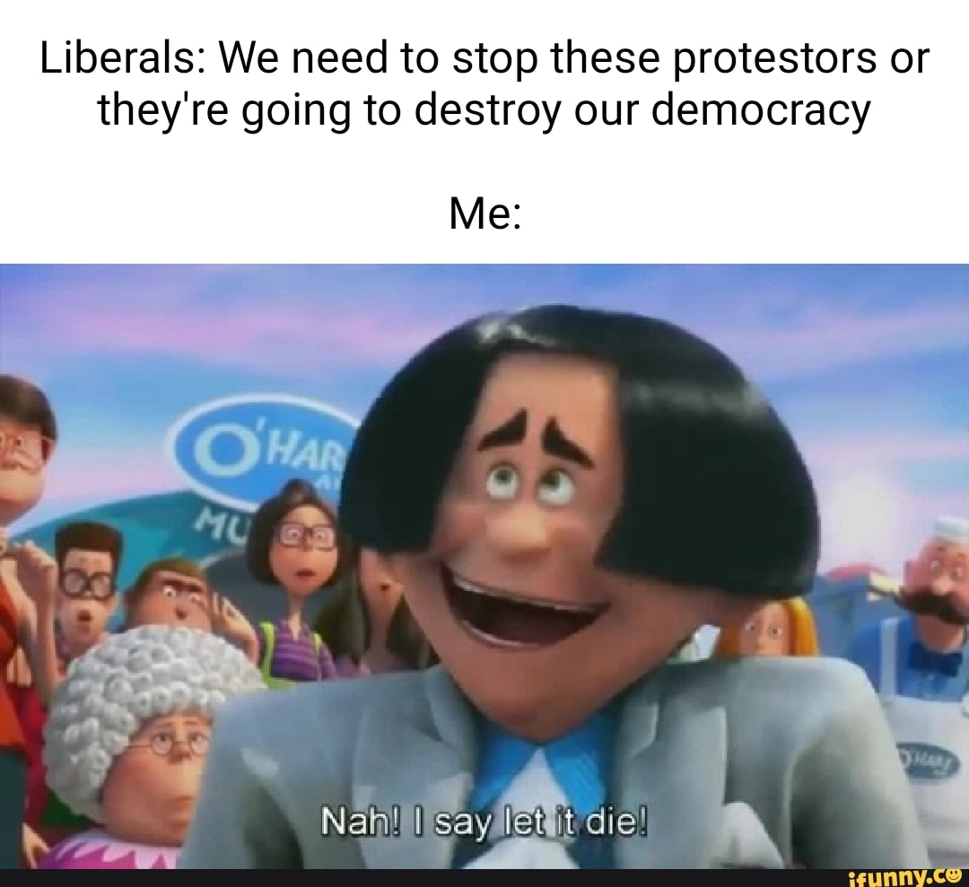Liberals: We need to stop these protestors or they're going to destroy ...