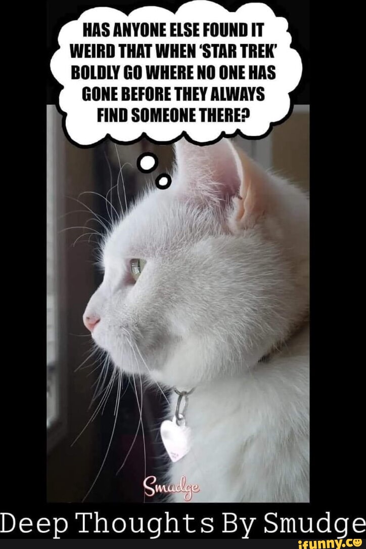 HAS ANYONE ELSE FOUND IT WEIRD THAT WHEN 'STAR TREK' BOLDLY GO WHERE NO