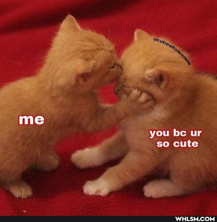 you ur so cute
