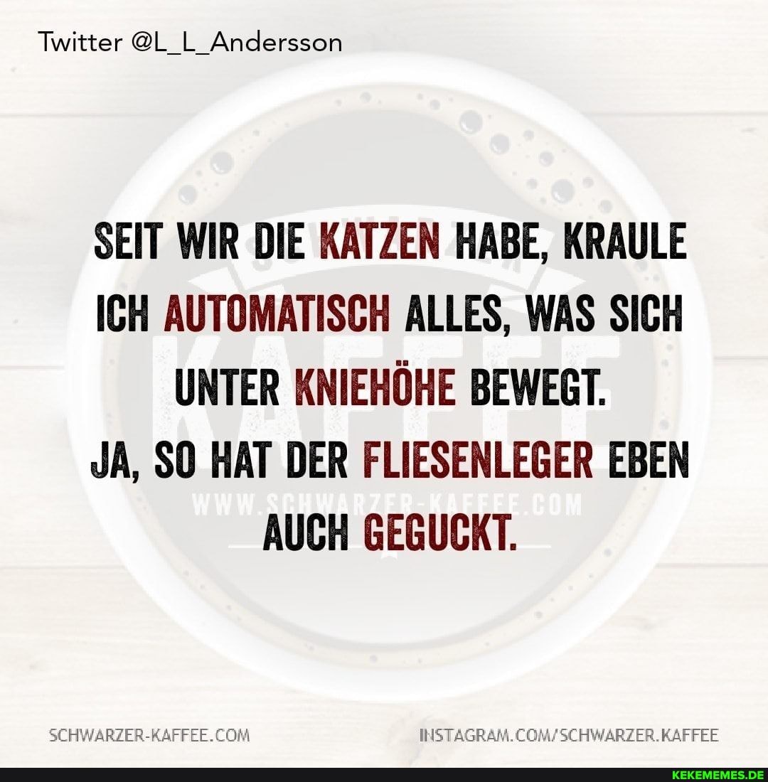 Twitter @L_L_Andersson
SEIT WIR DIE KATZEN HABE, KRAULE ICH AUTOMATISCH ALLES, WAS SICH UNTER KNIEHÖHE BEWEGT.
JA, SO HAT DER FLIESENLEGER EBEN AUCH GEGUCKT.