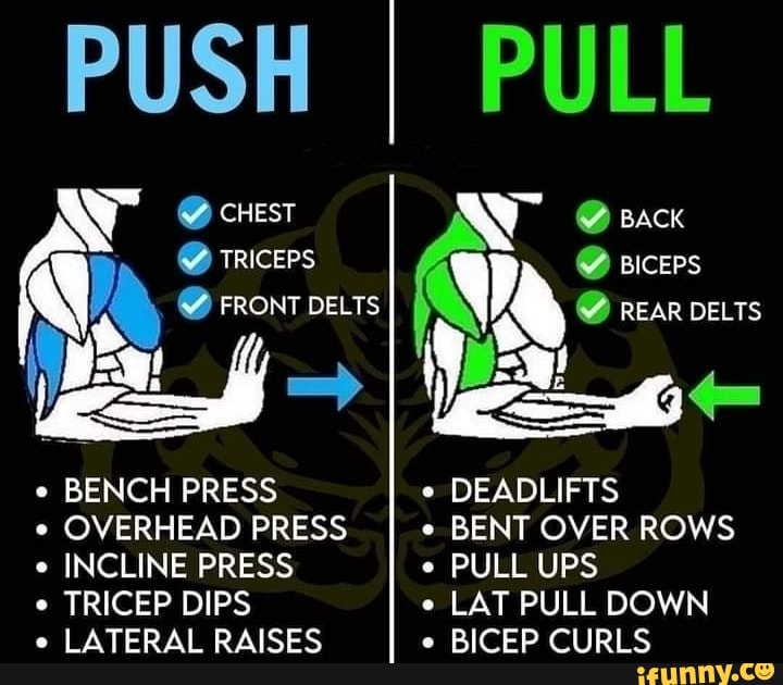 PUSH cHesT TRICEPS FRONT DELTS BENCH PRESS o OVERHEAD PRESS INCLINE