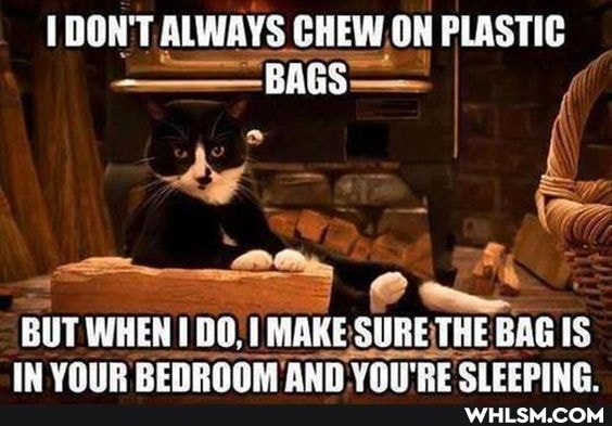 DON'T ALWAYS CHEW .ON PLASTIC
-BAGS-
BUT WHEN DO, I MAKE SURE THE IS VOIP RENROOM ANN VO'RE CIELDING
