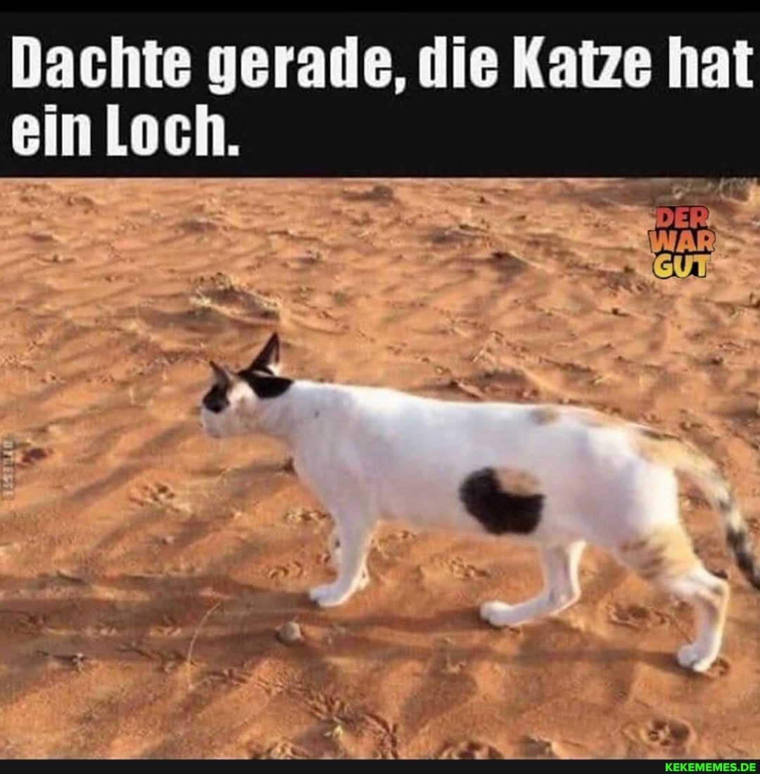 Dachte gerade, die Katze hat ein Loch.