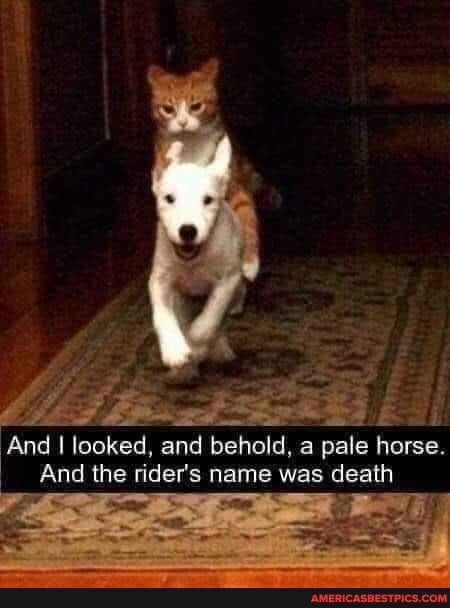 And looked, and behold, a pale horse.
And the rider's name was death