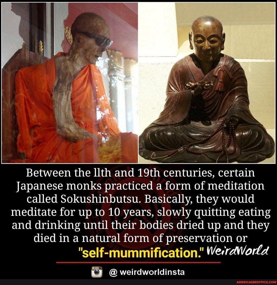 Between the llth and 19th centuries, certain
Japanese monks practiced a form of meditation called Sokushinbutsu. Basically, they would meditate for up to 10 years, slowly quitting eating and drinking until their bodies dried up and they
died in a natural form of preservation or
"self-mummification." WerrdWorla
FR woirdwinridineta