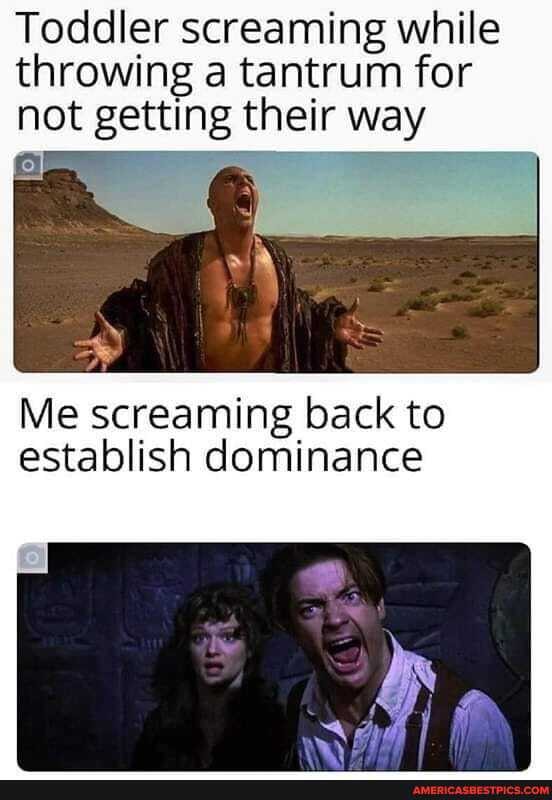 Toddler screaming while throwing a tantrum for not getting their way
Me screaming back to establish dominance