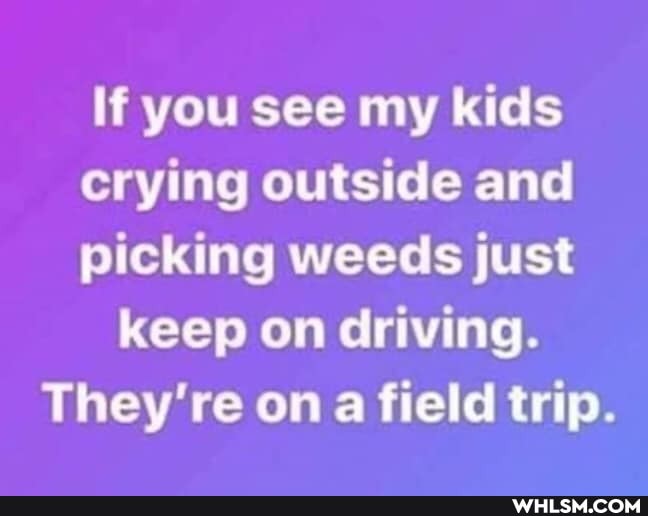 If you see my kids crying outside and picking weeds just
keep on driving.
They're on a field trip.