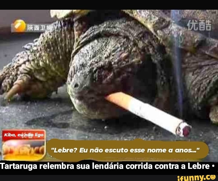 "Lebre? Eu não escuto esse nome anos..."
Tartaruga relembra sua lendária corrida contra a Lebre