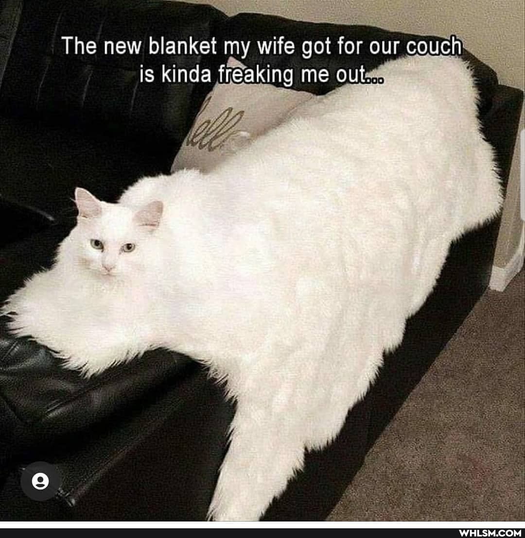 The new blanket my wife got for our ur couch
is kinda freaking me out#