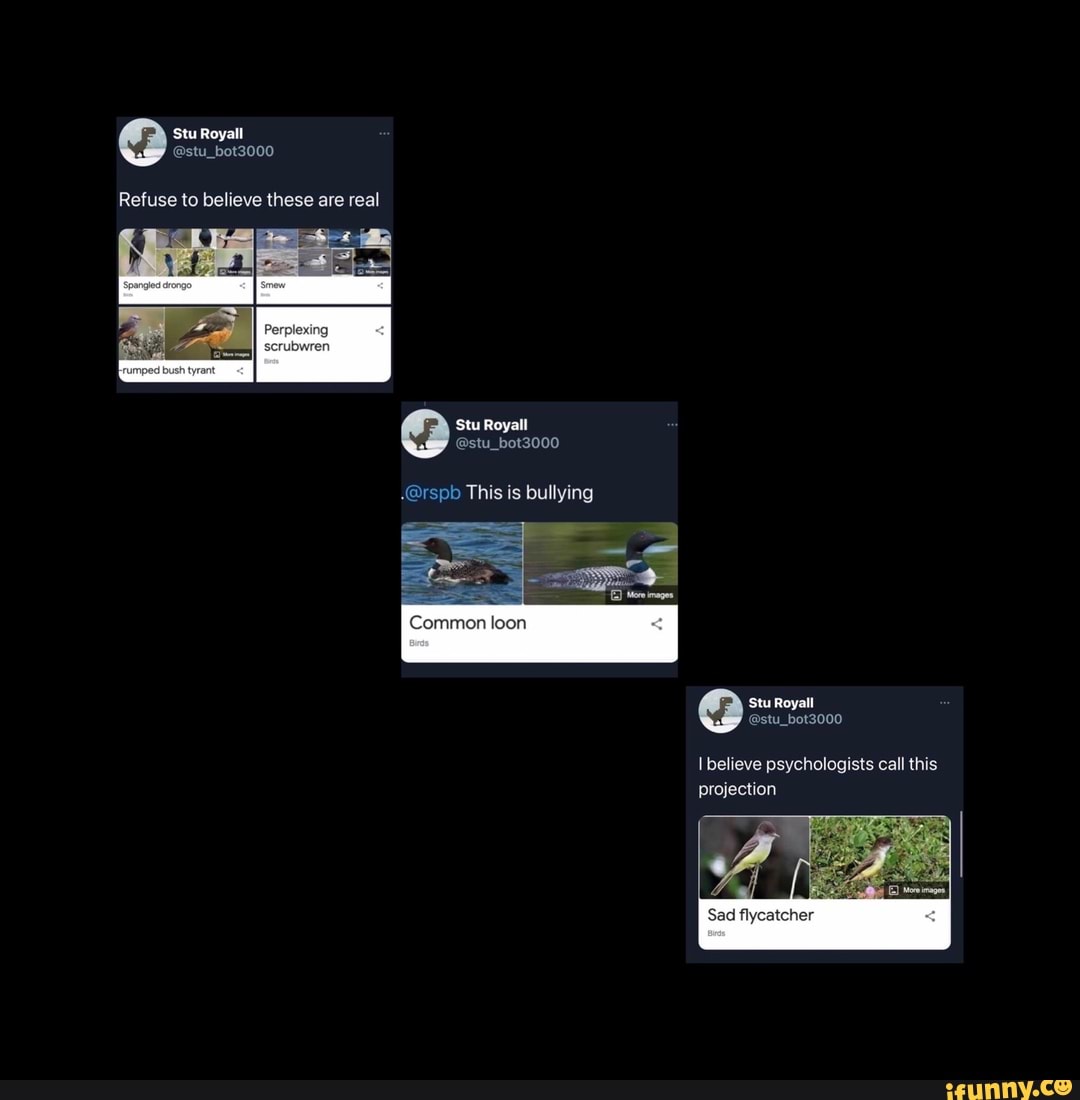 Stu Royall
@am
Refuse to believe these are real
Stu
@stu_bot3000
.@rspb This is bullying
Common loon
'Stu Royall
@stu_bot3000
believe psychologists call this projection
Sad flycatcher