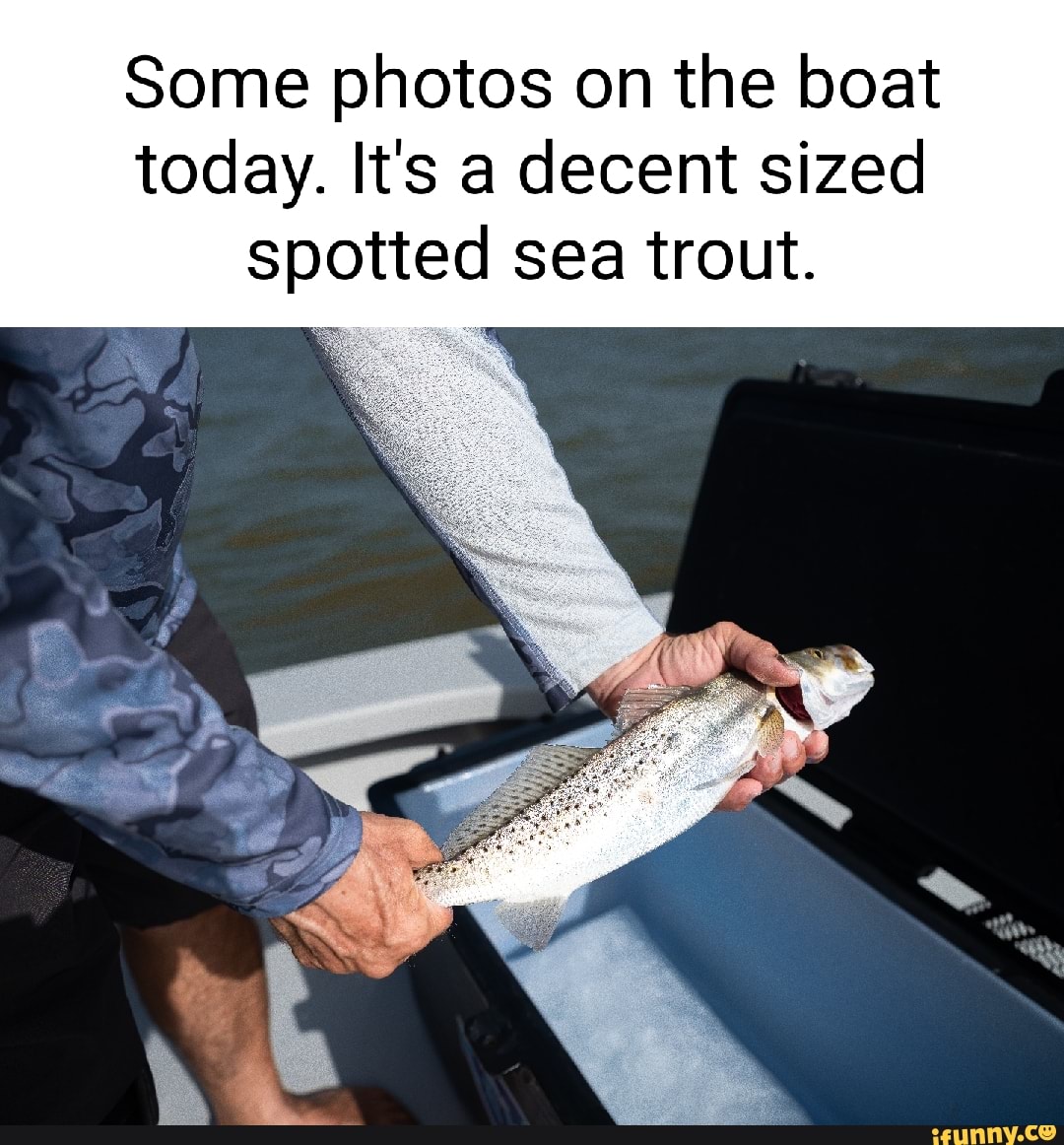 Seafishing memes. Best Collection of funny Seafishing pictures on iFunny