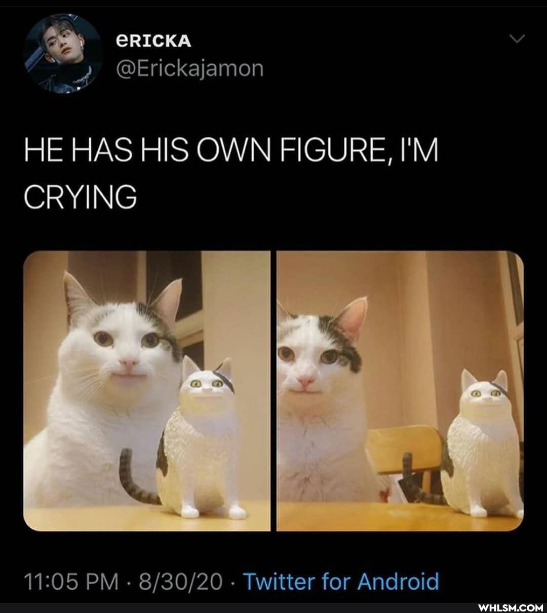 ERICKA
HE HAS HIS OWN FIGURE, I'M CRYING
PM - - Twitter for Android