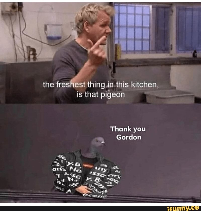 the freshest thing -in.this kitchen, is that pigeon
Thank you
Gordon