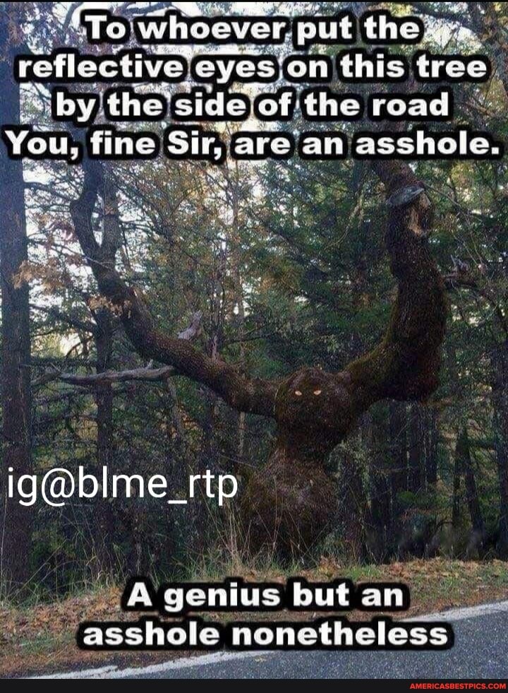 as whoover put the reflective: eyes on this tree side e road
You, fine Sir, are an asshole.
genus but an asshole nonetheless