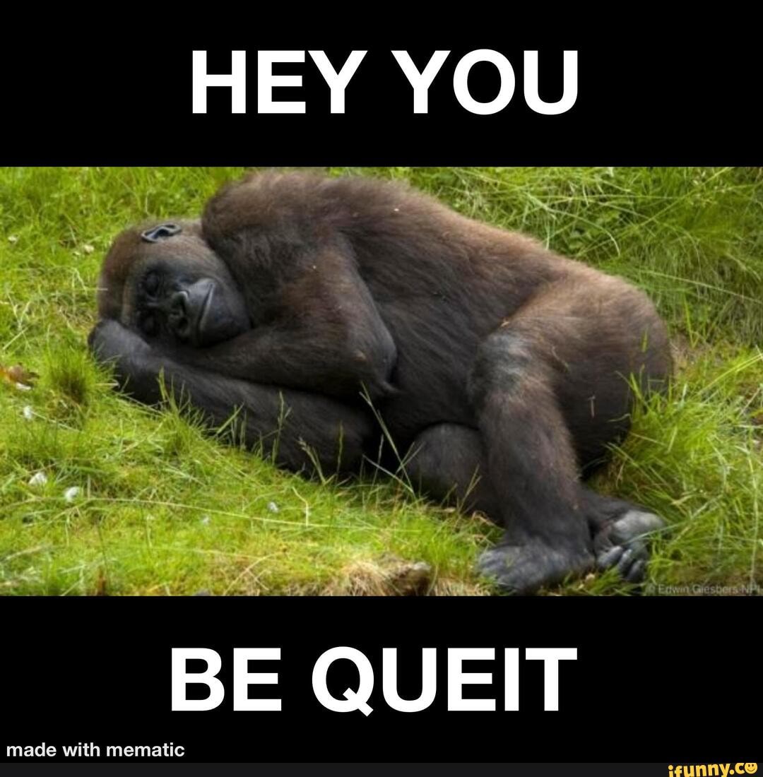 HEY YOU BE QUEIT made with mematic - iFunny