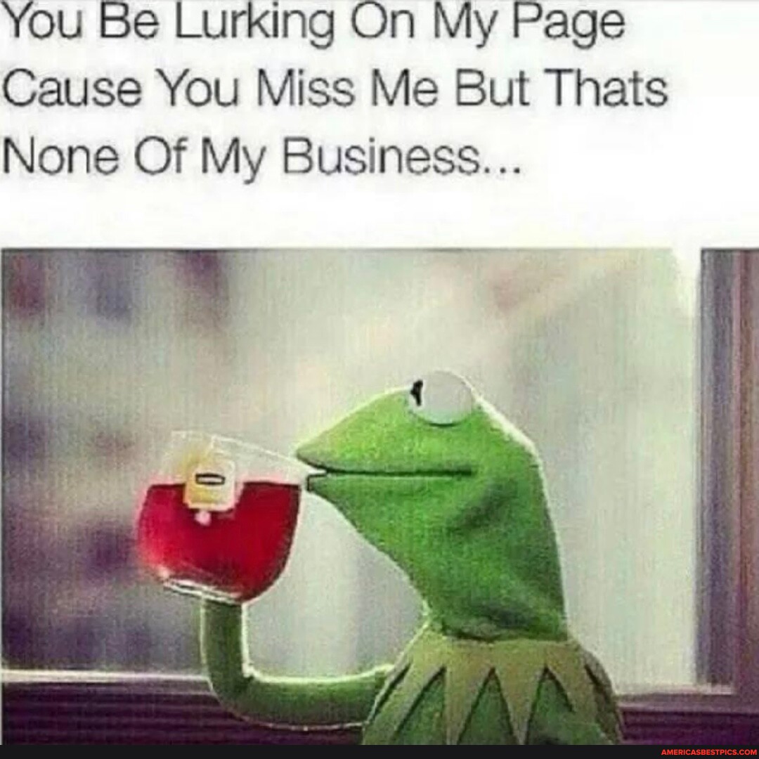 Kermit the frog none of my business