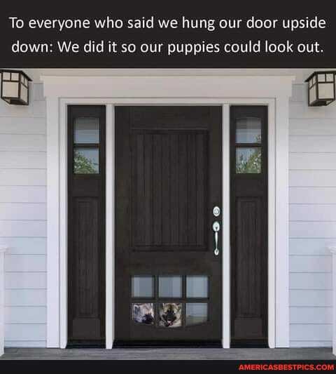 To everyone who said we hung our door upside down: We did it so our puppies could look out.
