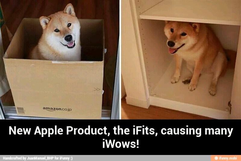 New Apple Product, the iFits, causing many - New Apple Product, the iFits, causing many iWows!