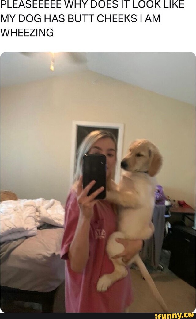 PLEASEEEEE WHY DOES IT LOOK LIKE MY DOG HAS BUTT CHEEKS I AM WHEEZING