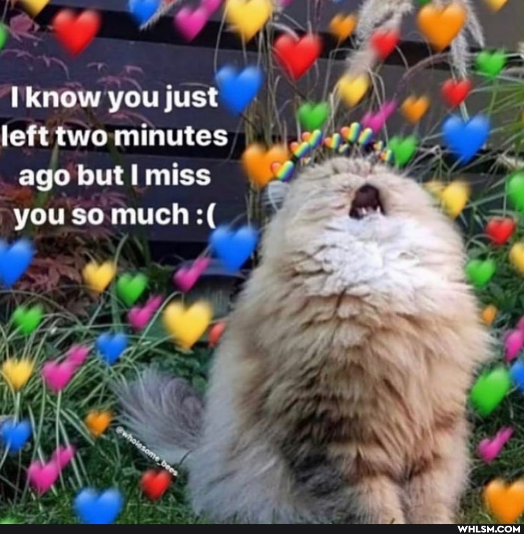 know you just
left two minutes ago but I miss you so much